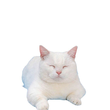 Pet ice silk summer cool bed dog cat cool mat cat ice pad cooling ice summer ice pad cat can not tear